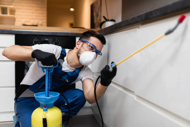 Best Affordable Pest Control Services  in San Marcos, TX