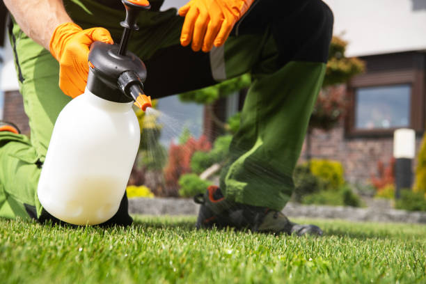 Pest Control Cost in San Marcos, TX