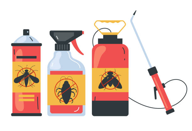 Best Pest Inspection Near Me  in San Marcos, TX