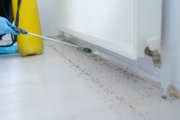 San Marcos, TX Pest Control Company