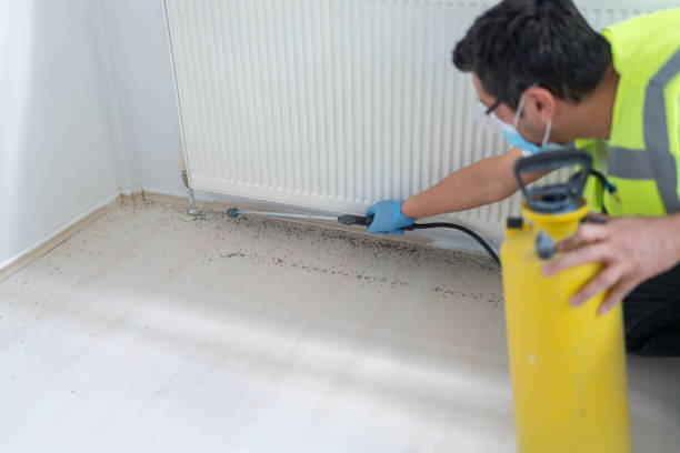 Best Wasp Removal Services  in San Marcos, TX